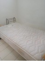 Cuci Karpet